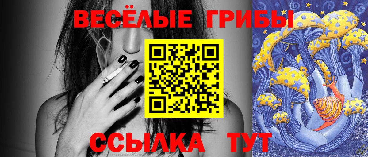 Галлюциногенные грибы ЛСД  Вход с VPN  сколько стоит  Златоуст  Галлюциногенные грибы MAGIC MUSHROOMS 